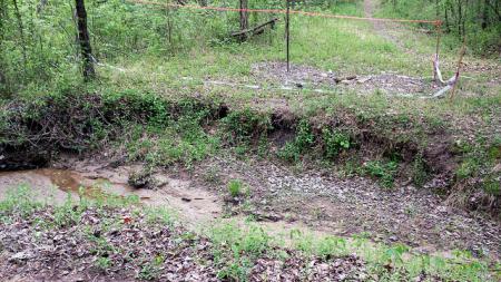 Ellerbe Creek Challenge